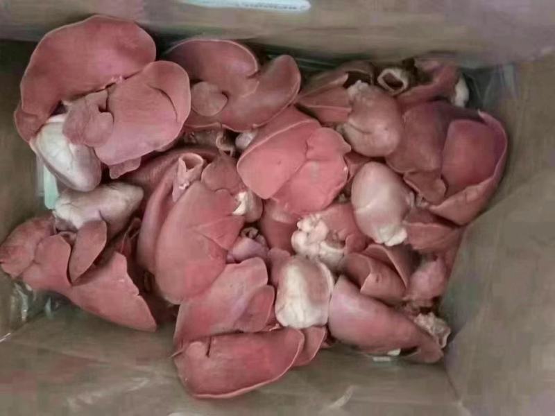 羊肺羊心肺一件二十斤产地一手货源质量保障
