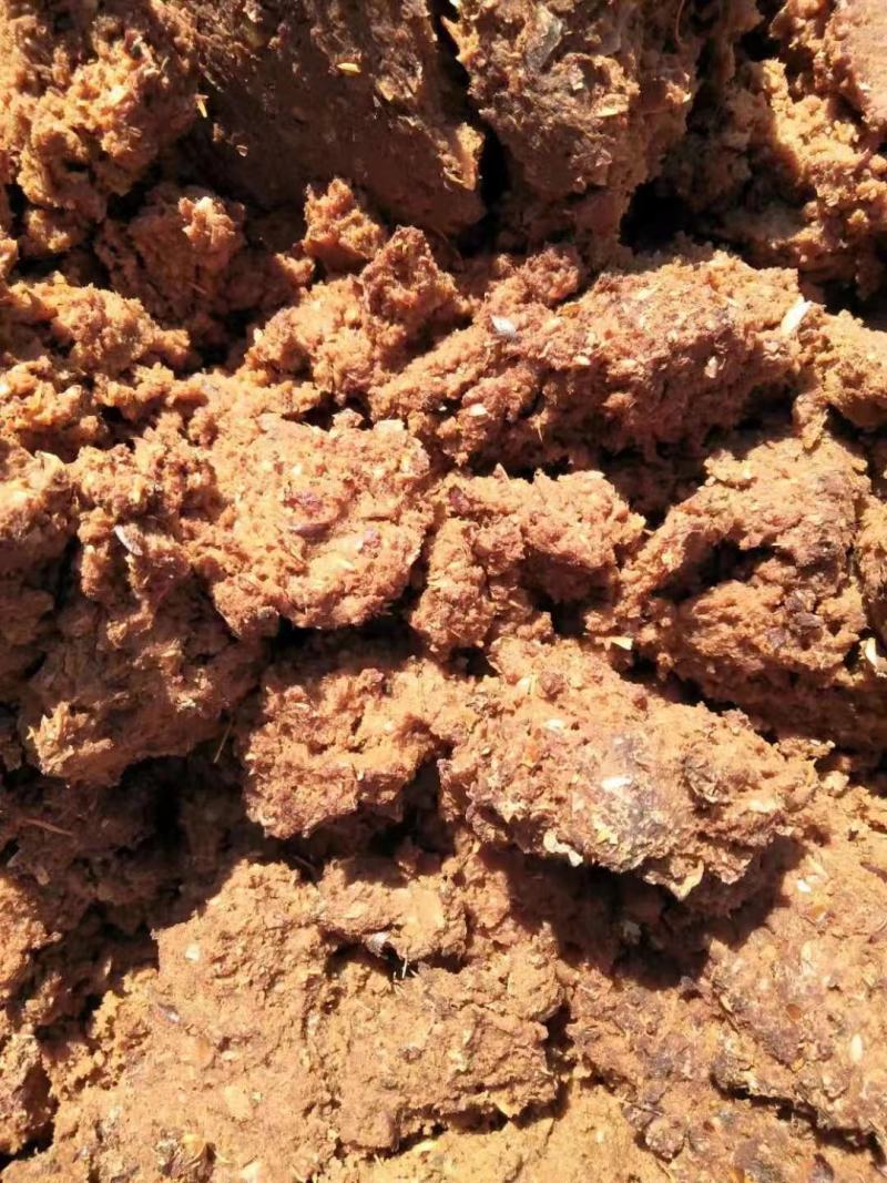 脱水果渣养殖户养殖场使用牛羊猪饲料原料质量稳定