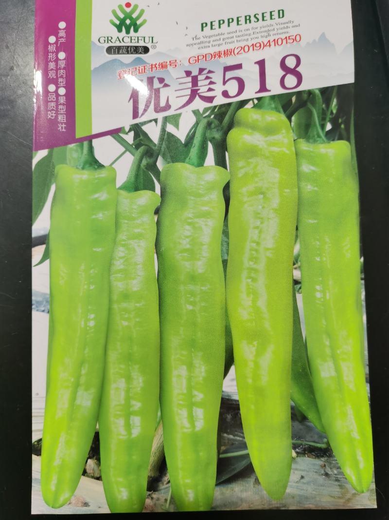优美春喜黄皮椒优美518抗病耐寒热辣椒