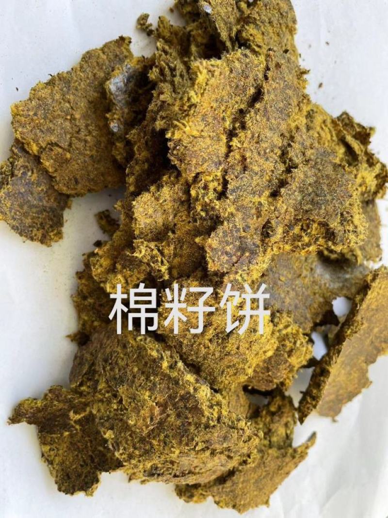 棉籽饼牛羊育肥饲料原料油脂含量高厂家直销价格实惠