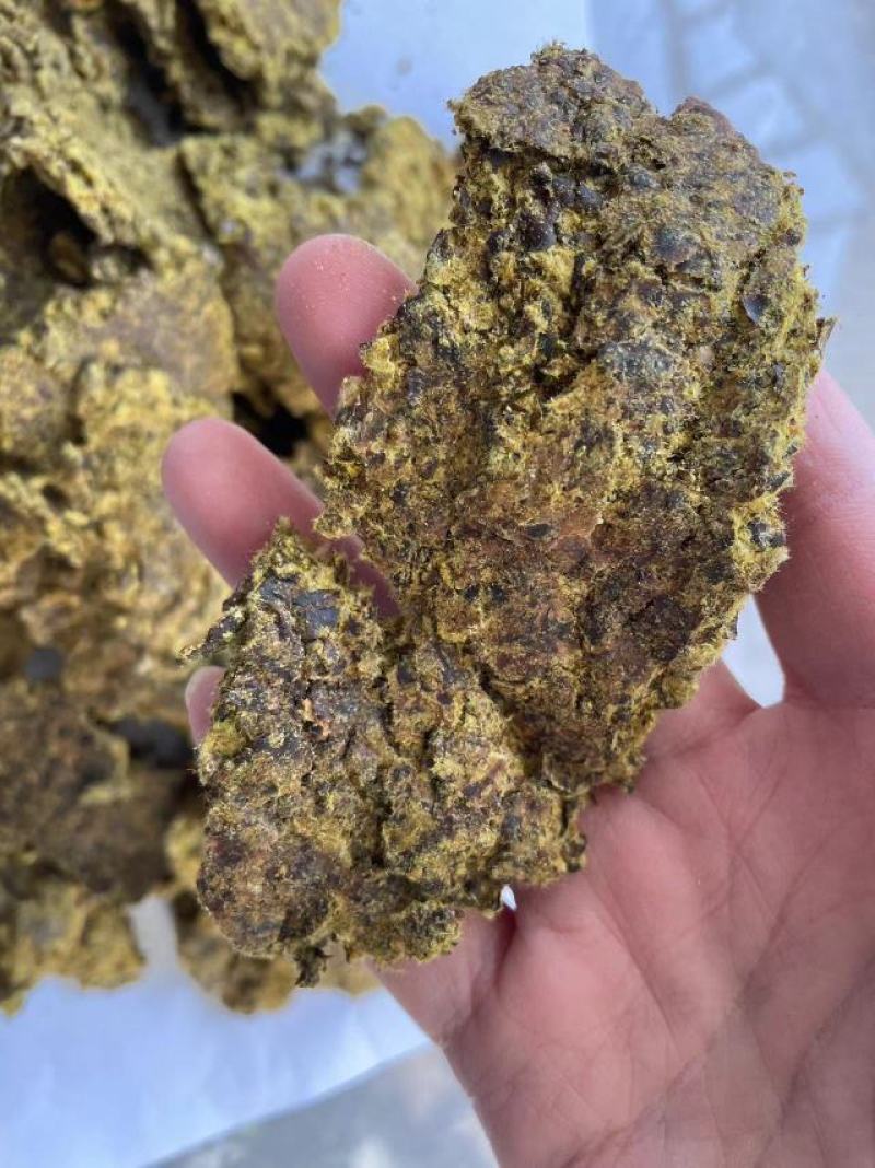棉籽饼牛羊育肥饲料原料油脂含量高厂家直销价格实惠
