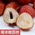 冰荔荔枝树苗嫁接无核荔枝苗桂味荔枝苗妃子笑鸡嘴荔枝苗带土