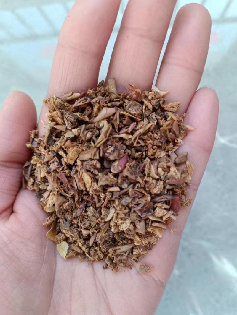 烘干苹果渣适口性好厂家直销全国发货质量稳定