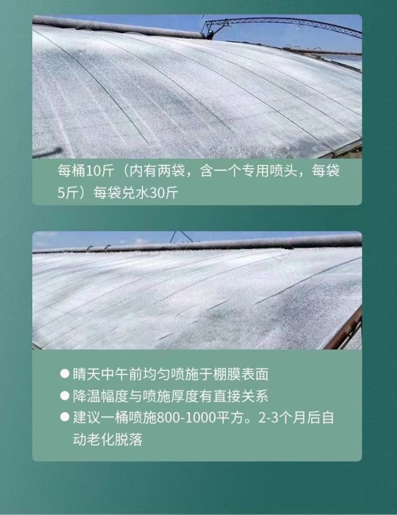 大棚降温剂进口贝贝荷兰技术为农中韩合资降温涂料