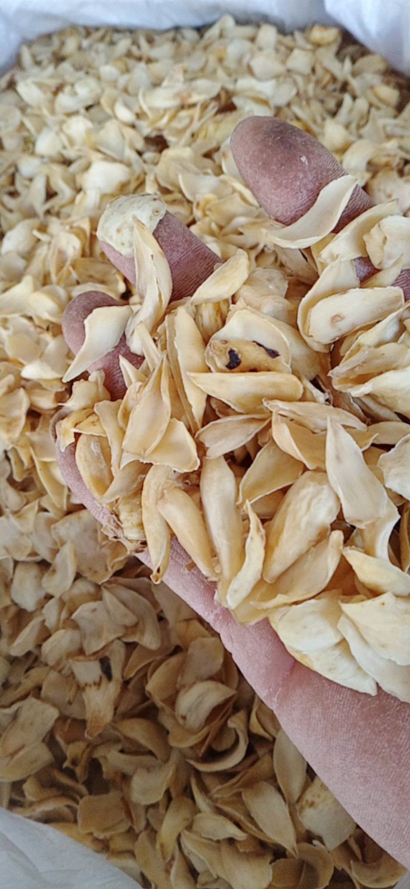 【百合】药食两用.中药材批发.质量保证规格齐全.