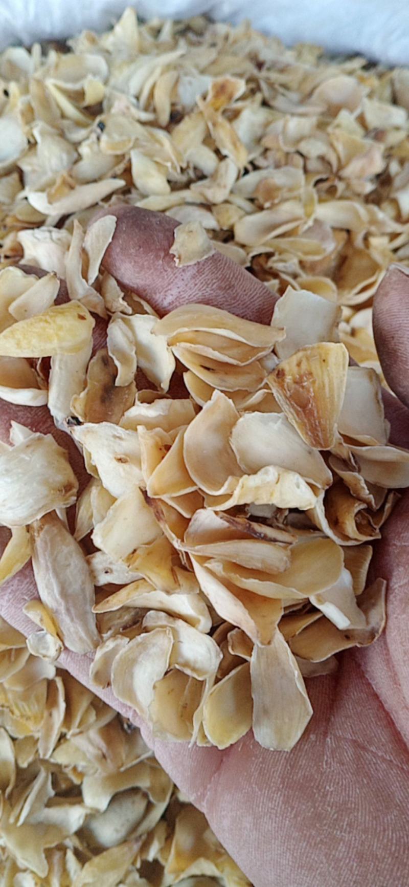【百合】药食两用.中药材批发.质量保证规格齐全.