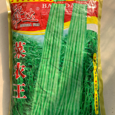 帮达菜农王春夏秋兼用优质抗病高产耐高温无鼠尾