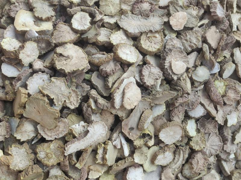 无硫货金果榄金牛胆苦牛胆货好量大要多了有优惠