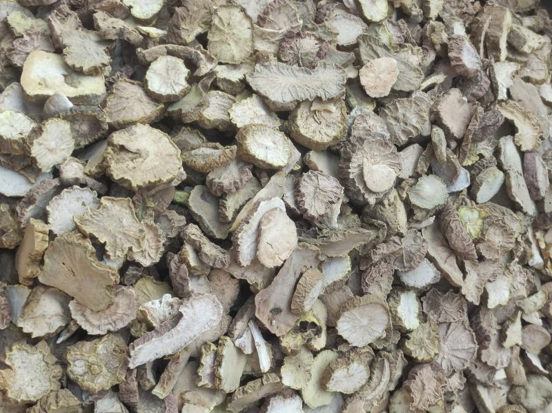 无硫货金果榄金牛胆苦牛胆货好量大要多了有优惠