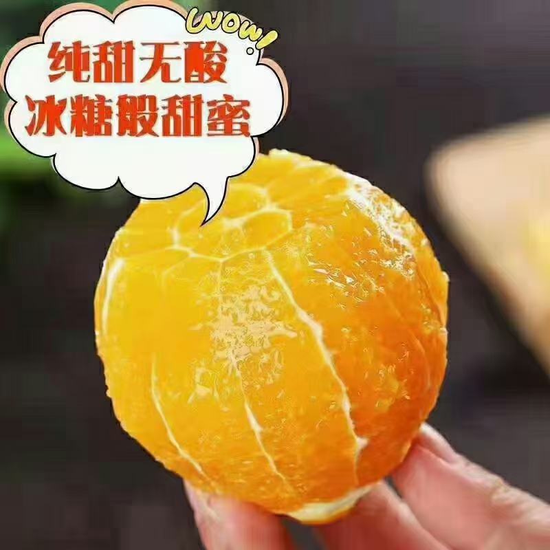 麻阳冰糖橙，富平柿饼
