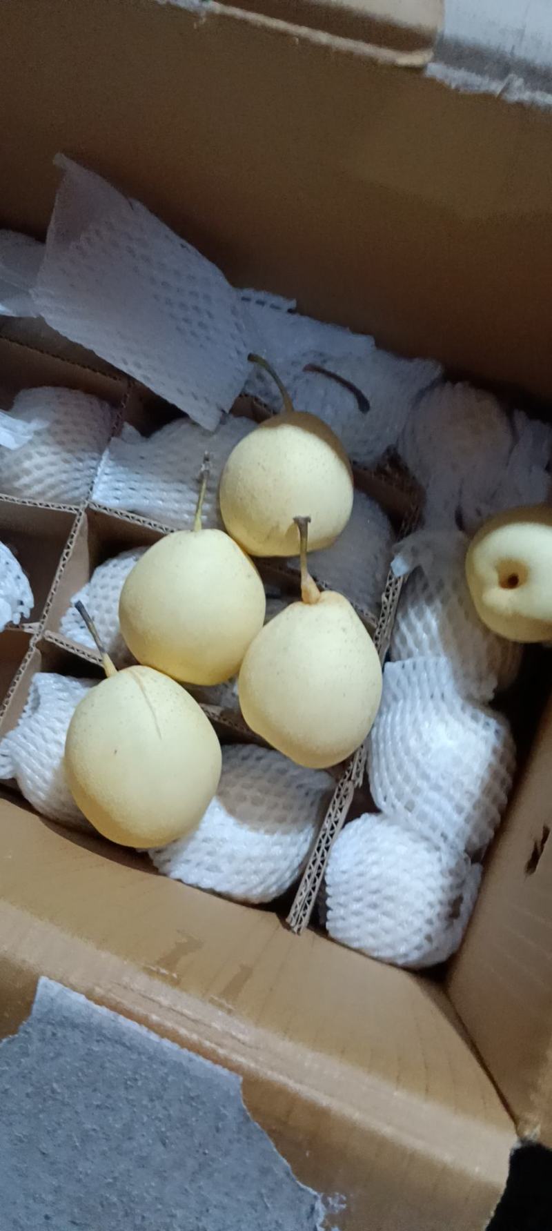 河北鸭梨，口感甜，产地直销，色白个大，需要的联系我