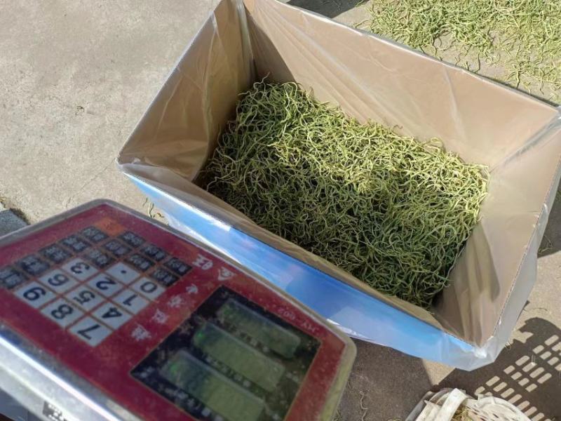 豆角丝架豆豆角丝，干豆角丝蔚县干豆角丝细绿