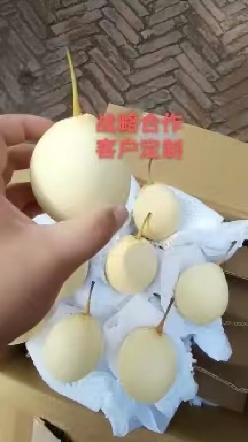 河北鸭梨，口感甜，产地直销，色白个大，需要的联系我