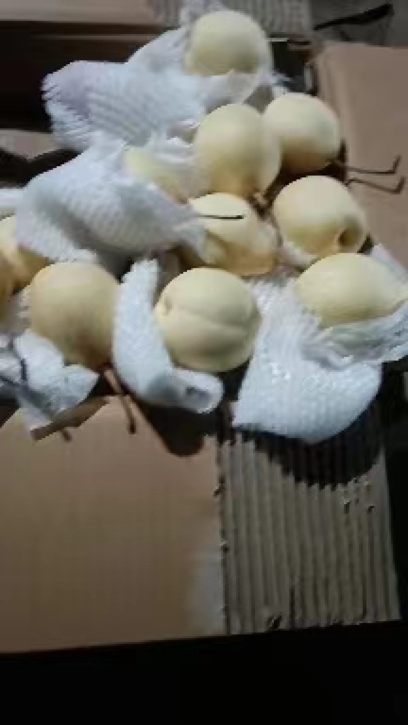 河北鸭梨，口感甜，产地直销，色白个大，需要的联系我