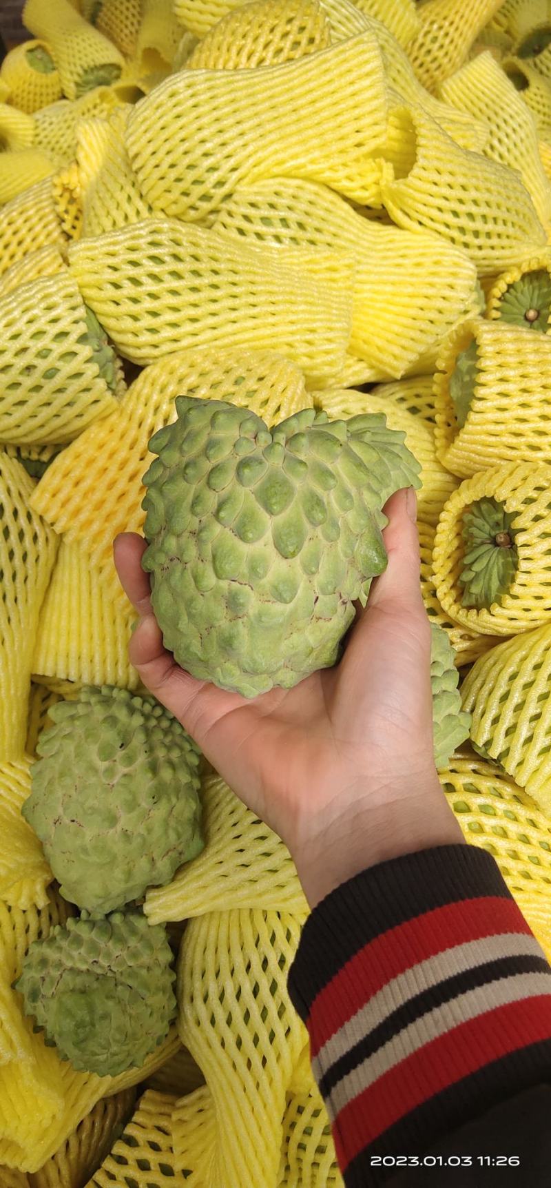广西释迦果
