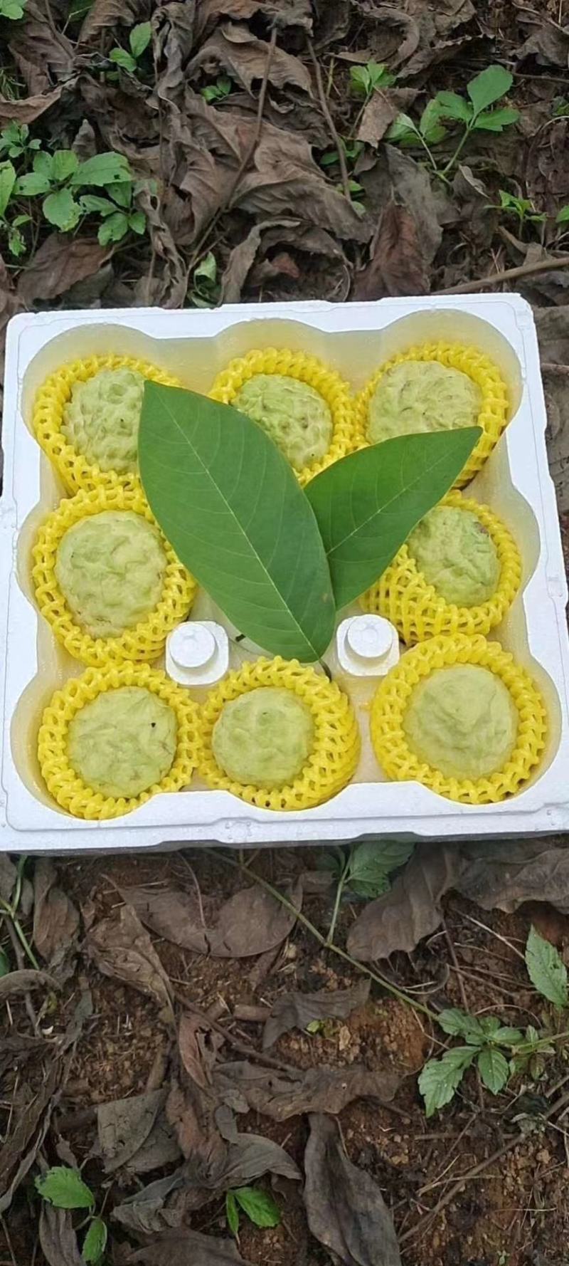 广西释迦果