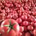 【电商】菏泽硬粉西红柿番茄果型好硬度高好运输市场超市