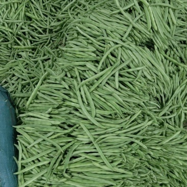 云南新鲜蔬菜无筋豆偏豆小金豆