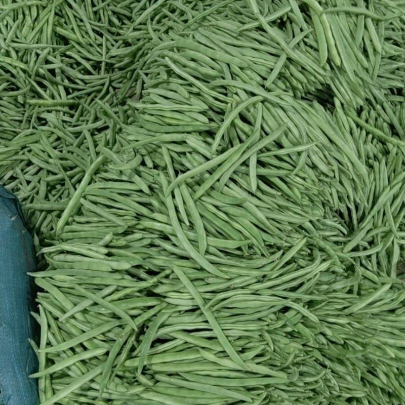 云南新鲜蔬菜无筋豆偏豆小金豆