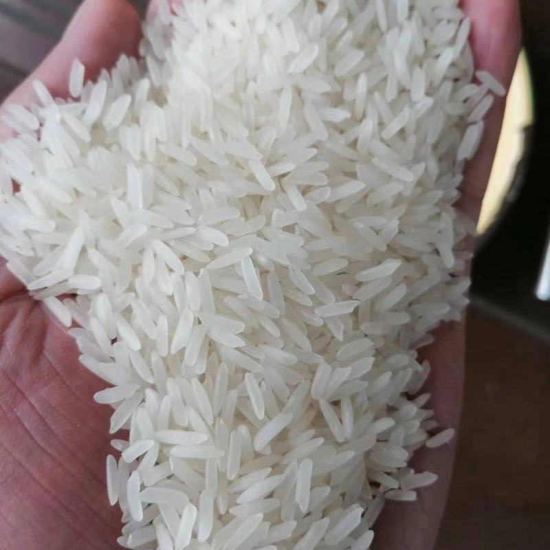 柬埔寨茉莉香米批发