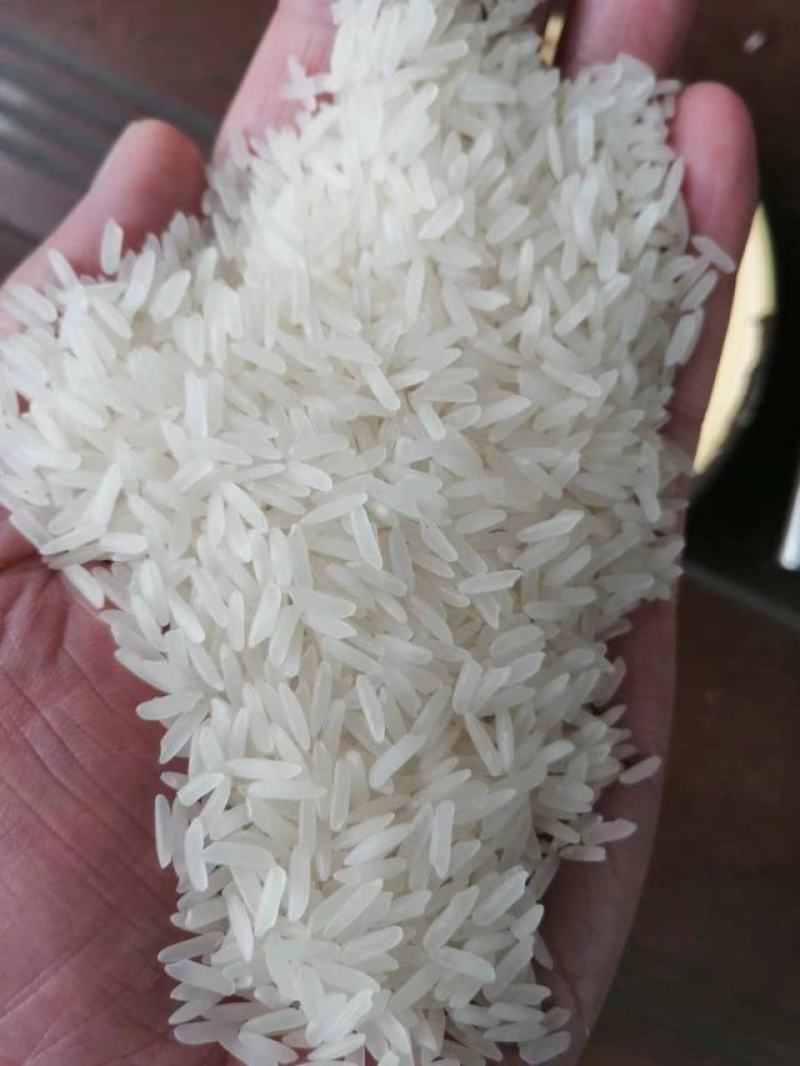 柬埔寨茉莉香米批发