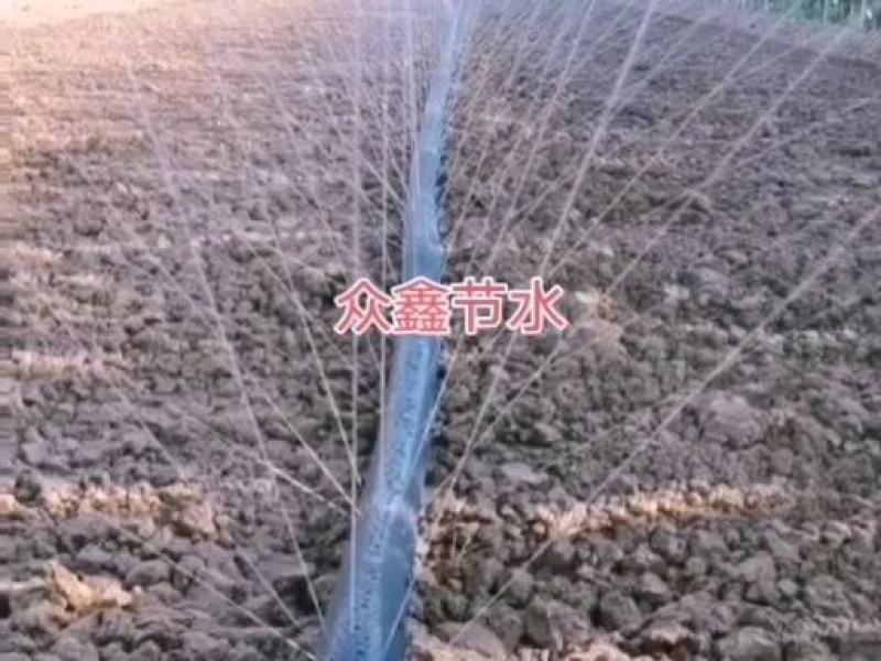 微喷带安装试水效果！我们是一手货源、厂家直发