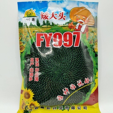 （优选）油用向日葵种子FY997矮杆大头出油多