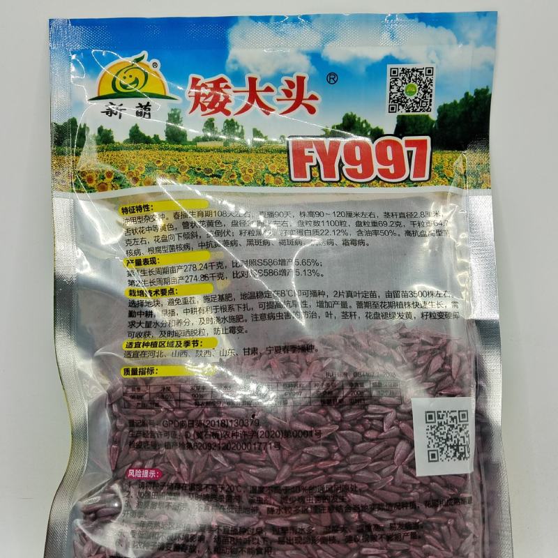 （优选）油用向日葵种子FY997矮杆大头出油多