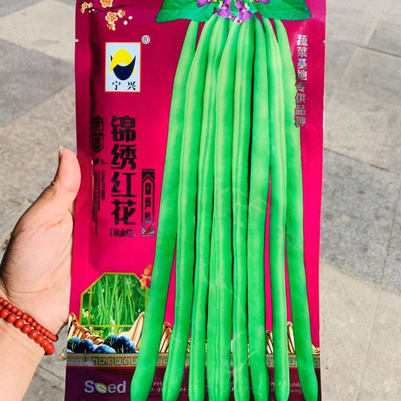 红花绿荚小金豆种子嫩荚无筋肉厚蔬菜基地专用菜豆架豆种子