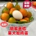 [结果快]脆蜜金桔苗脆皮金桔苗融安金桔苗滑皮金桔苗