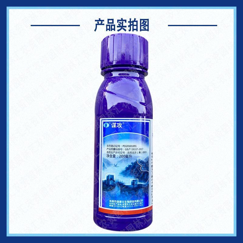 瑞德丰谋攻正品阿维菌素3.2%杀虫剂柑橘树红蜘蛛螨虫