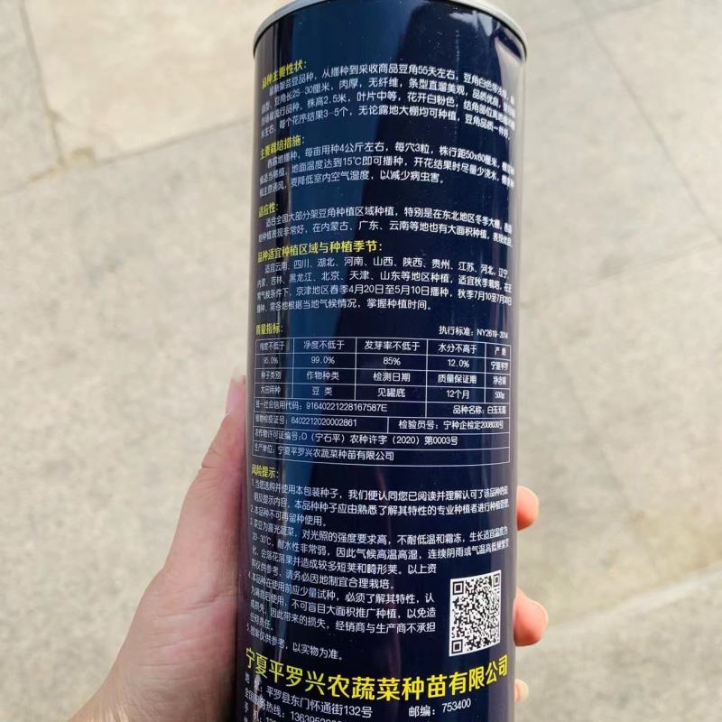 基地专用优质架豆种子白芸豆种子菜豆四季豆种籽大棚露地种植