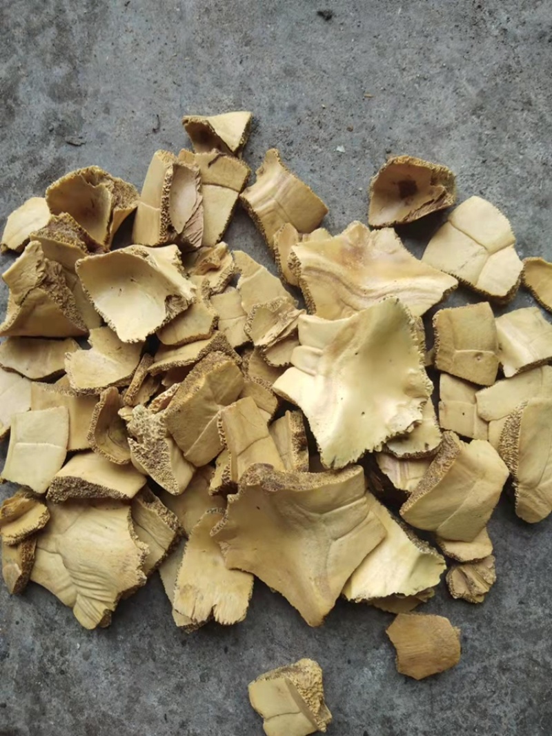 炙龟壳龟甲龟板巴西龟草龟中华草