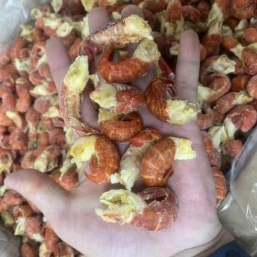 龙虾尾