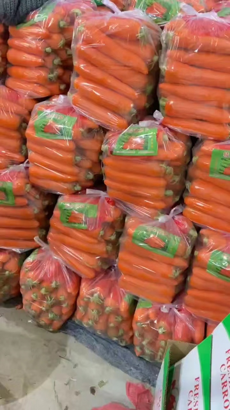 开封水洗胡萝卜产地一手货源质量保证可视频看货欢迎咨询