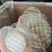 山东菏泽红薯粉皮厂家直发一手货源批发品质保证价格美丽