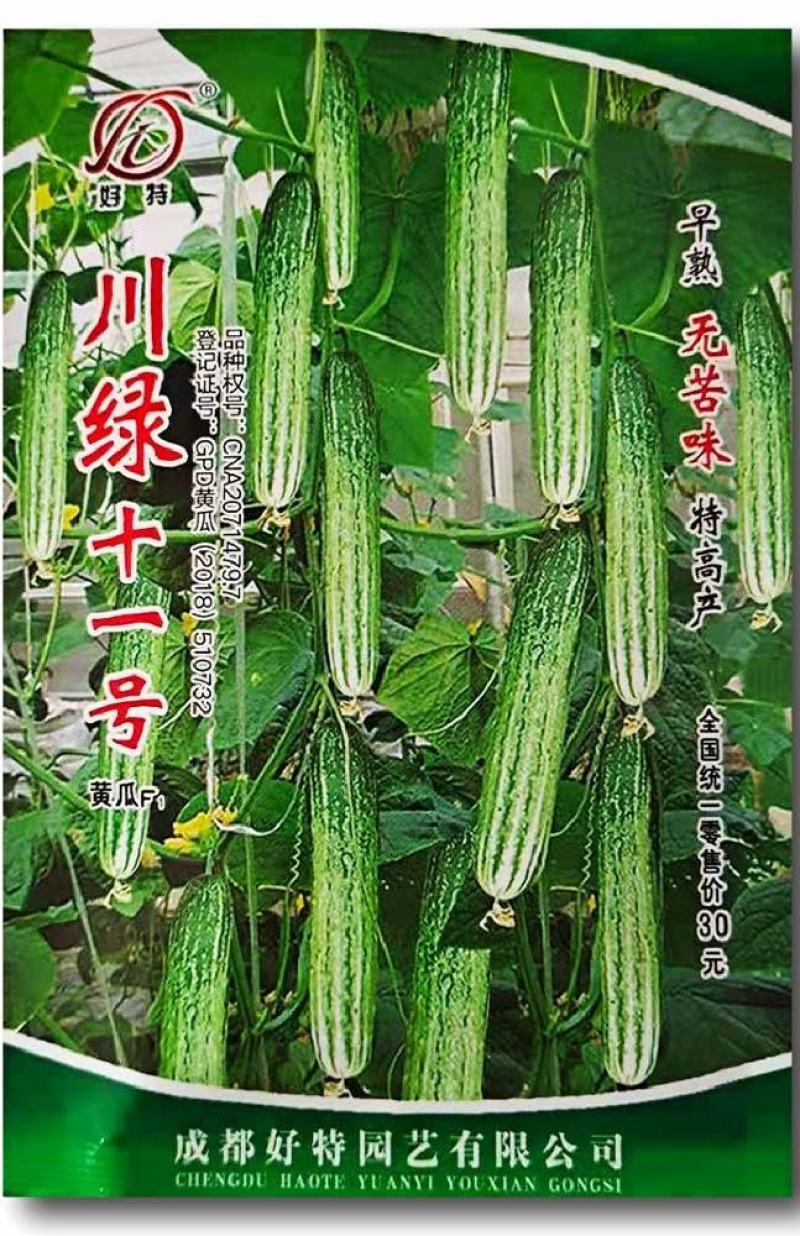 旱黄瓜种子白鹤3号无苦味长条绿白色早熟强雌脆甜