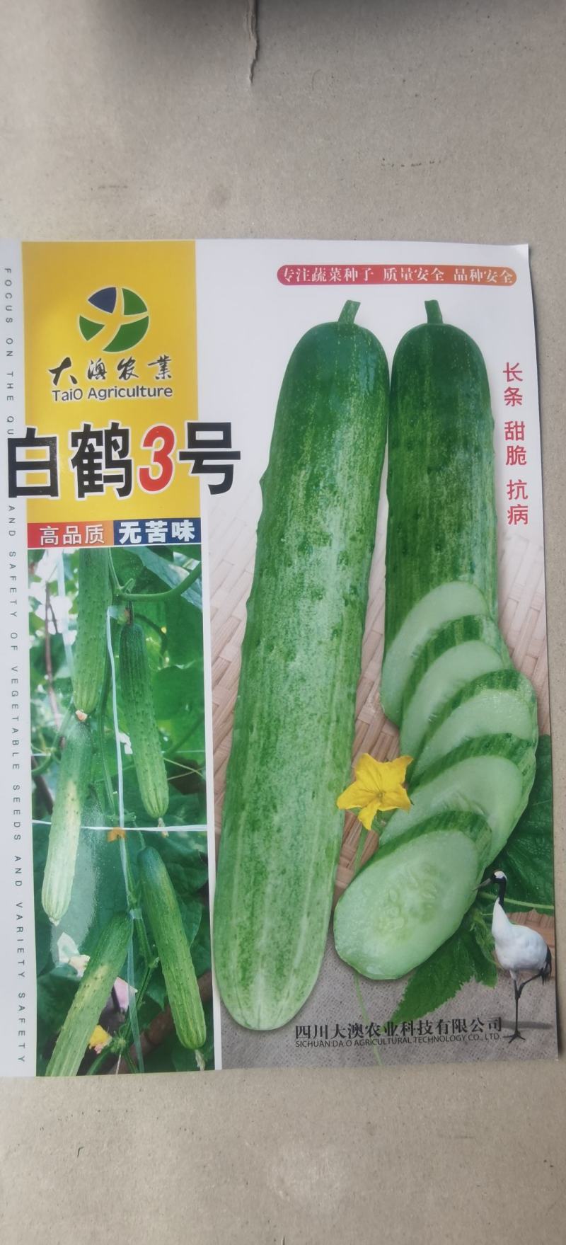 旱黄瓜种子白鹤3号无苦味长条绿白色早熟强雌脆甜