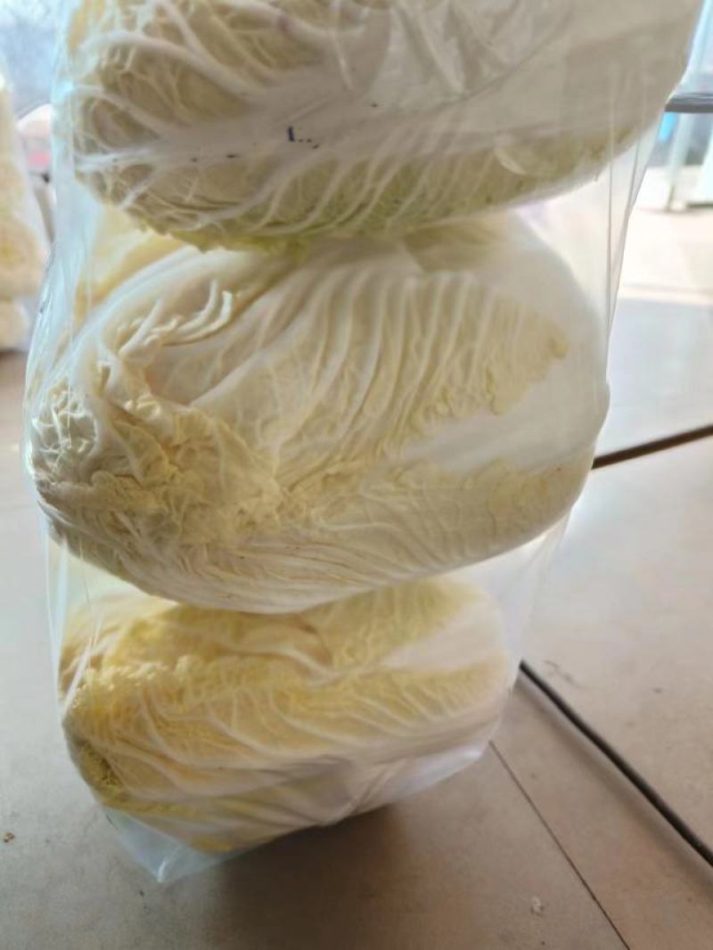 兰州金品娃娃菜