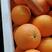 伦晚脐橙，产地直发，价格便宜，欢迎到产地看货採果