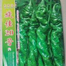 螺丝椒种子旋佳20号中早熟螺旋度好颜色亮绿品质好高产
