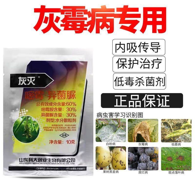 60%嘧霉胺异菌脲蔬菜黄瓜茄子辣椒瓜果灰霉病专用杀菌剂