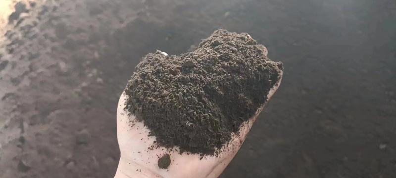 河北精品发酵羊粪热卖中，基地直供，质量上乘，量大从优