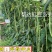 帮达长龙豇豆春夏栽培抗逆丰产耐高温无鼠尾