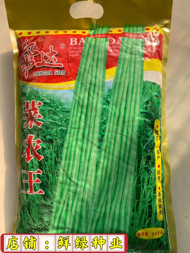 帮达长龙豇豆春夏栽培抗逆丰产耐高温无鼠尾