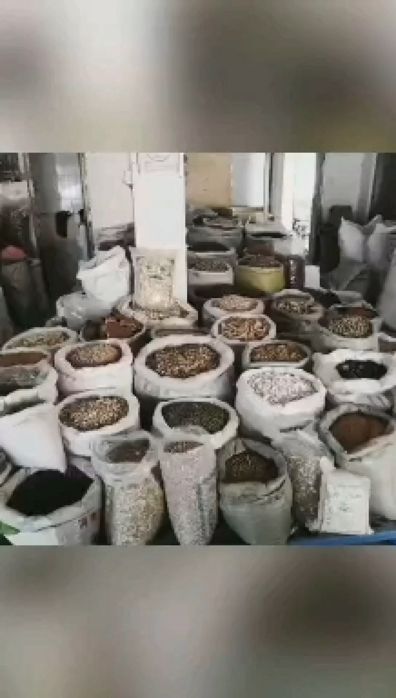 茯苓中药材茯苓无粉云苓丁茯苓粉加工批发各种规格茯苓