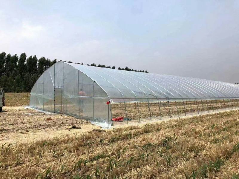 水产养殖棚种植棚保温暖棚钢架大棚安装好付款