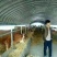 水产养殖棚养猪大棚养牛大棚配件齐全支持全国货到付款包安装