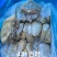 百叶价格低廉