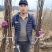 鸡心果树苗
